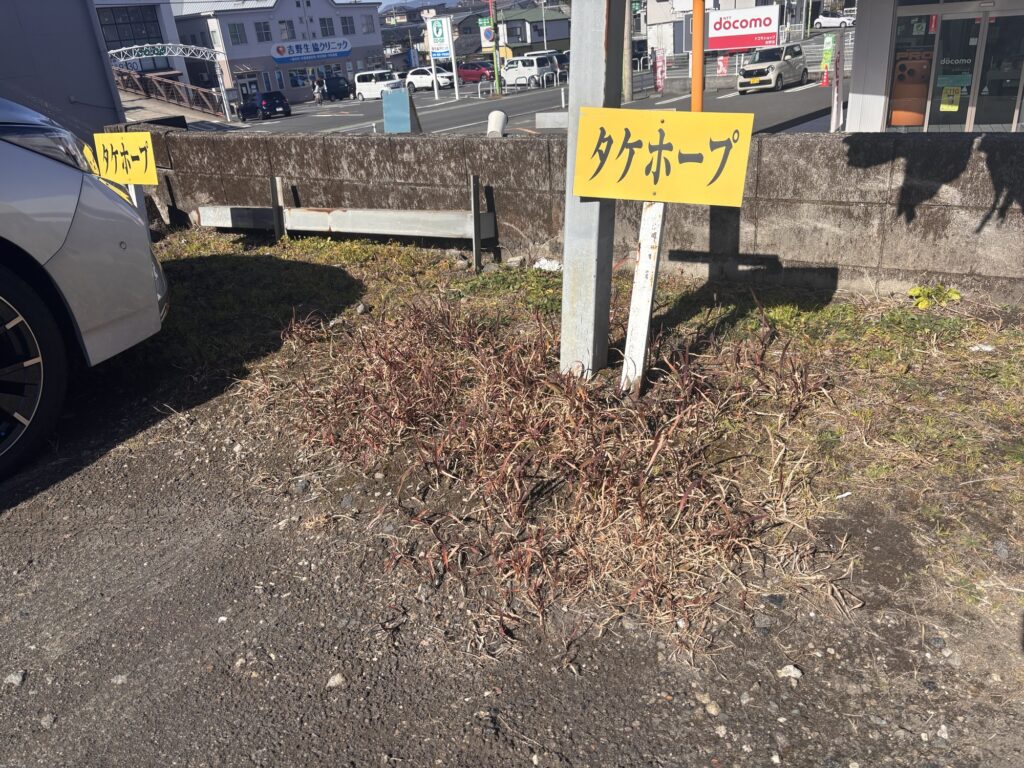 タケホープ駐車場