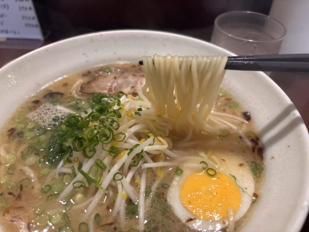 えびすラーメン 中太麺
